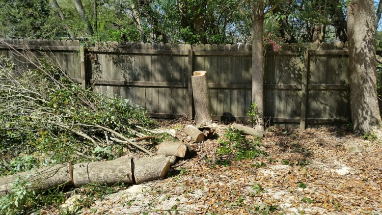 tree service Robertsdale AL